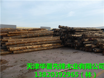 原木（辐射松）