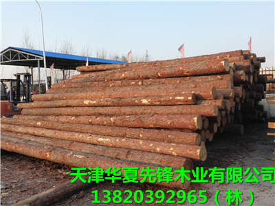 原木（辐射松）